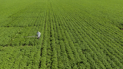 Aerial view of GEP-certified agricultural field trials