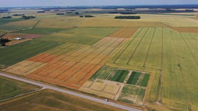 Aerial landscape of LAAPC research fields and experimental plantings