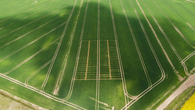 Aerial view of crop protection trials in Latvian farmland
