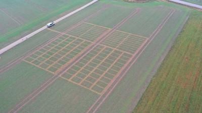 Aerial view of multi-treatment agricultural field trials