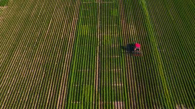 Drone view of a research field with a tractor working between crop rows