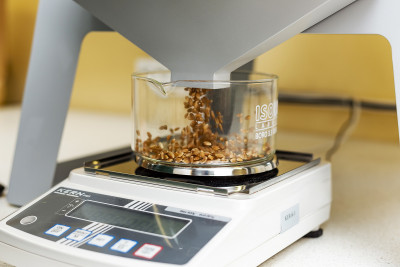 Plant sample analysis in the LAAPC laboratory