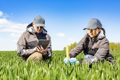 Plant protection specialist conducting a field crop inspection