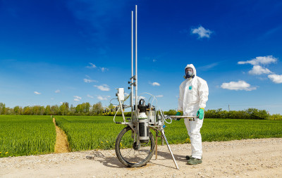 Researcher examining crop plants in the field