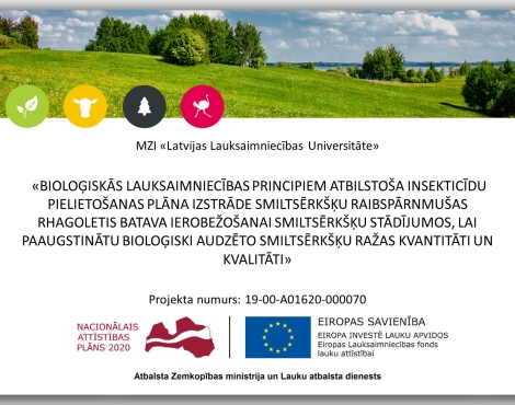 Bioloģiskās lauksaimniecības principiem atbilstoša insekticīdu pielietošanas plāna izstrāde smiltsērkšķu raibspārnmušas Rhagoletis batava ierobežošanai smiltsērkšķu stādījumos, lai paaugstinātu bioloģiski audzēto smiltsērkšķu ražas kvalitāti